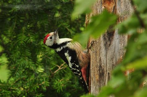 Start page | Eifel National Park