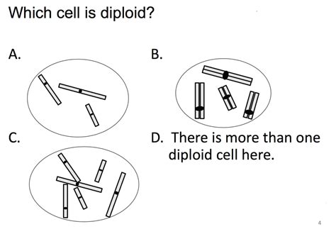 Biology Midterm Diagram Quizlet