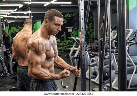 Muscular Athletic Sexy Male Naked Torso Stock Photo Shutterstock