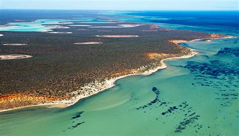 shark bay aerial photography mirage digital