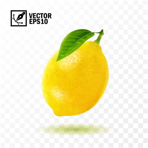 610 Lemon Skin Close Up Stock Illustrations Royalty Free Vector