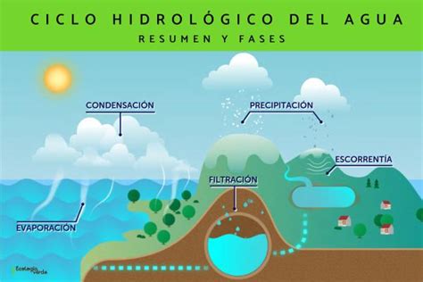 Qué es el ciclo hidrológico: etapas e importancia - Resumen y VÍDEO