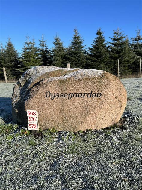 Hvordan Svare På Gratulasjoner På Facebook