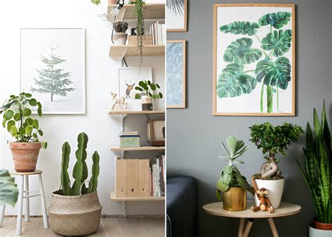 Ботаника в интерьере - 29 фото