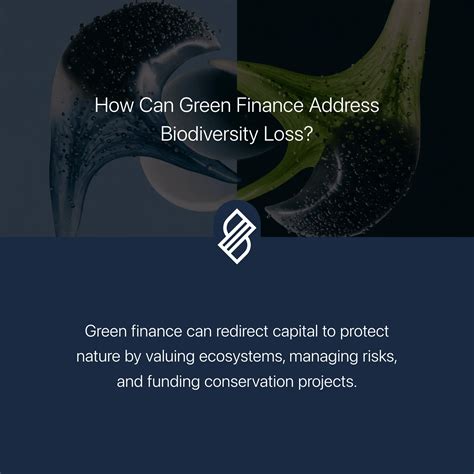 Economic Disruption → Term