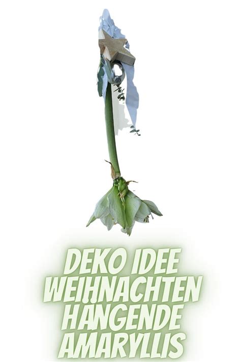 A Flower With The Words Deko Idee Weihnachten Hangen Am Rlys