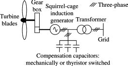 3 Phase Squirrel Cage Induction Motor Circuit Diagram - Circuit Diagram