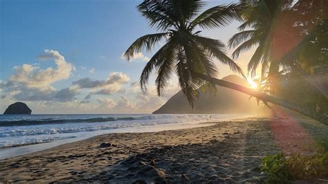 Partir En Martinique Quelle Est La Meilleure P Riode