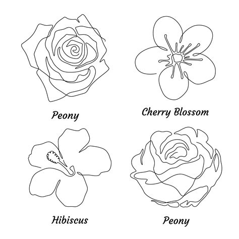flower types with pictures 4