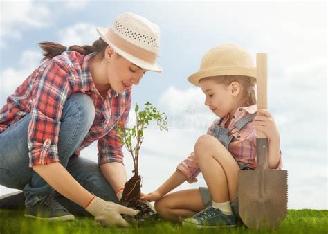 Girl Plant Sapling Tree Stock Image Image Of Life Plant 68206191