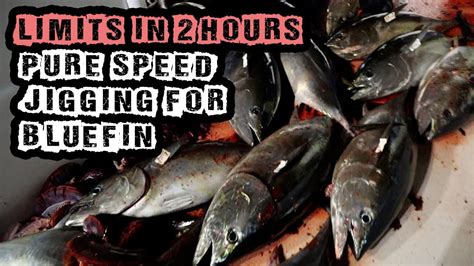 Limits Of Bluefin Tuna In Hours Speed Jigging Bluefin Tuna On The