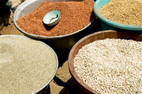 Togo to invest CFA13 billion in food security projects in 2024 - Togo First