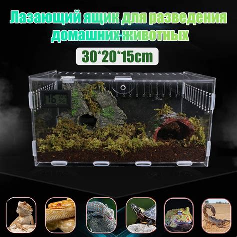 Террариум для рептилий, для черепах, для улиток 30*20*15 - купить с ...