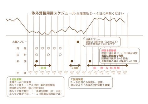 体外受精について｜生殖医療科 杉山産婦人科