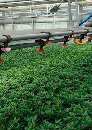 Fertiplant - ingrasaminte produse in germania. calitate si eficienta ...