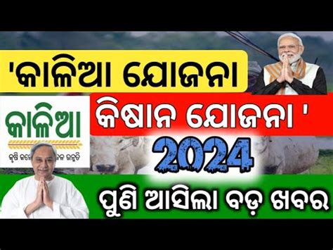 Kalia Yojana Pm Kisan Yojana Big Update 2024 Kalia Yojana Pm Kisan