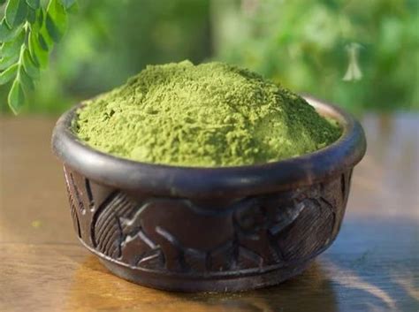 What Is Moringa Good For What Are The Benefits Of Moringa 60 OFF