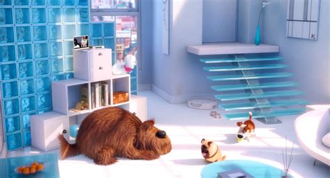 Image Gidget Apartmentpng The Secret Life Of Pets Wiki Fandom