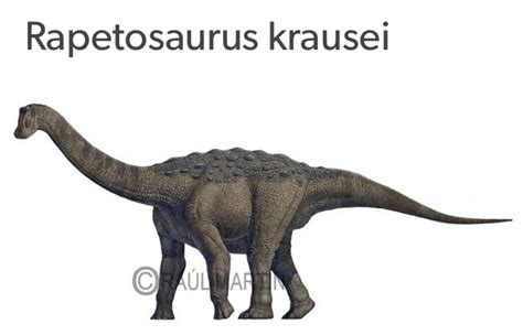 Rapetosaurus | Dinopedia | Fandom