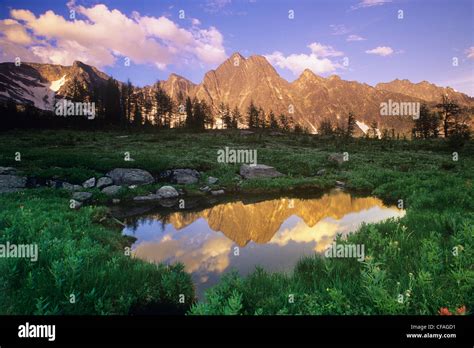 Monica Meadows Purcell Mountains British Columbia Canada Stock Photo