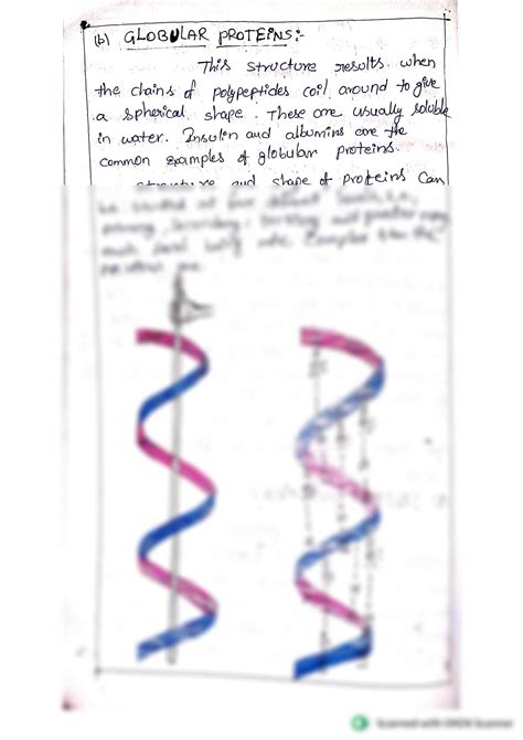SOLUTION: Globular protein structure and functions - Studypool