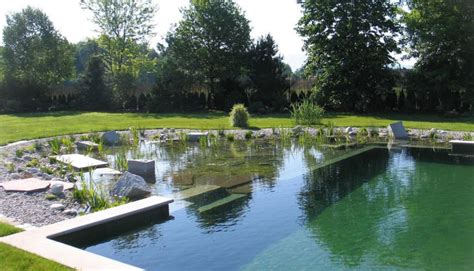 Natural Swimming Pools: Step by Step How to Build Guide