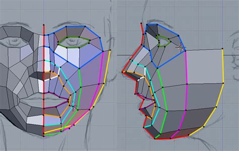 Face Topology Research