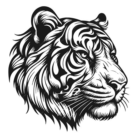 Premium Vector Tiger Outline