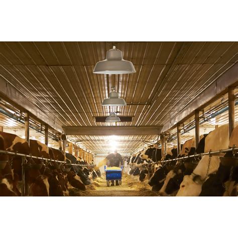 Canarm Ceilingwall Outdoorindoor Barn Light — 14in Dia 300 Watts