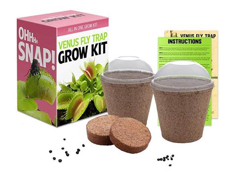 Venus Flytrap Seeds Growing Kit | StackSocial