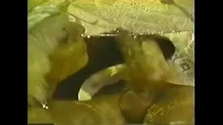 Vintage Blow Job From Maid Under Table Cumshot Porn By The Classic Porn XHamster