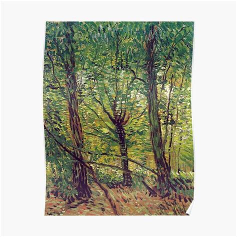 Woods And Undergrowth Vincent Van Gogh Premium Matte Vertical Poster