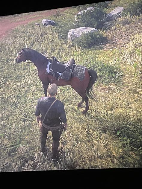 Pelt won’t come off of my horse. I’ve sold every skin I own and it won