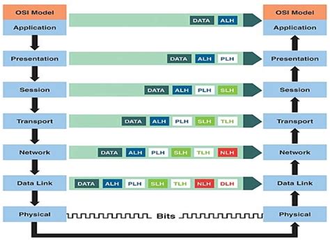 Osi Model Explanation With Diagram Osi Model Reference Guide