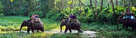 Nepals Wild Wonders Exploring Exotic Wildlife Through The Lens