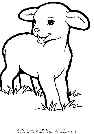 Coloriage Moutons Gratuit Animaux