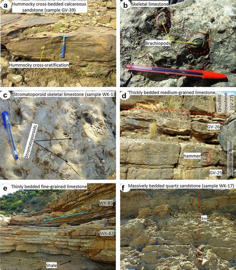 Outcrop Photographs Of Different Lithofacies Types A Hummocky