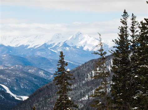 Premium Photo | Snowy winter scene high in the mountain. colorado rocky ...