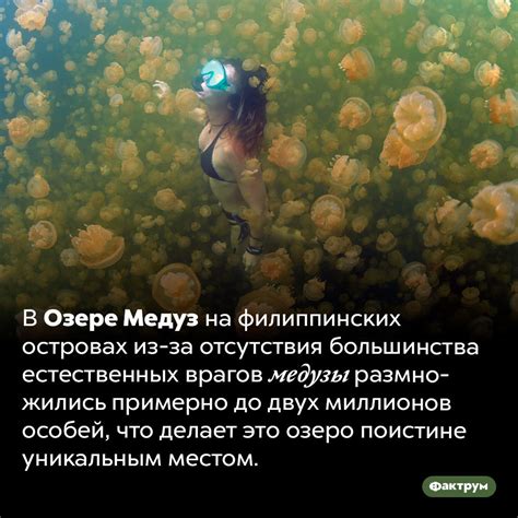 Сколько стоит вода в озере Байкал, где находится самое чистое озеро в ...