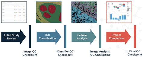 Ensuring Excellence The Qc Workflow Of Indica Labs Pharma Services