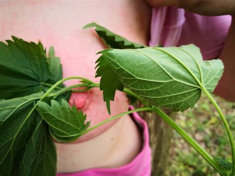 Brennnesseln On Tits 20 Pics XHamster