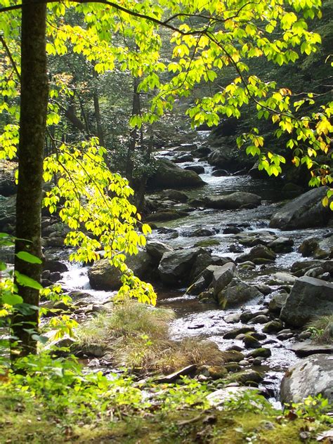 Rocky stream in the Smokies | Pics4Learning