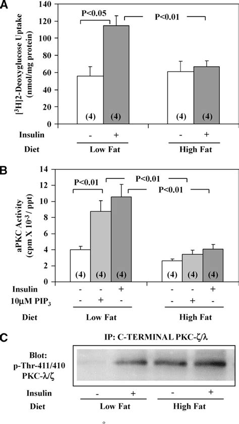 Figure From The Critical Role Of Atypical Protein Kinase C In