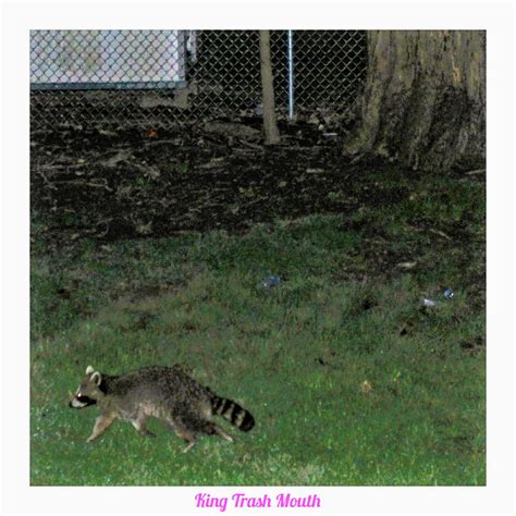 Best U Husband Fist Wife Images On Pholder Loose Pussy Land Huge