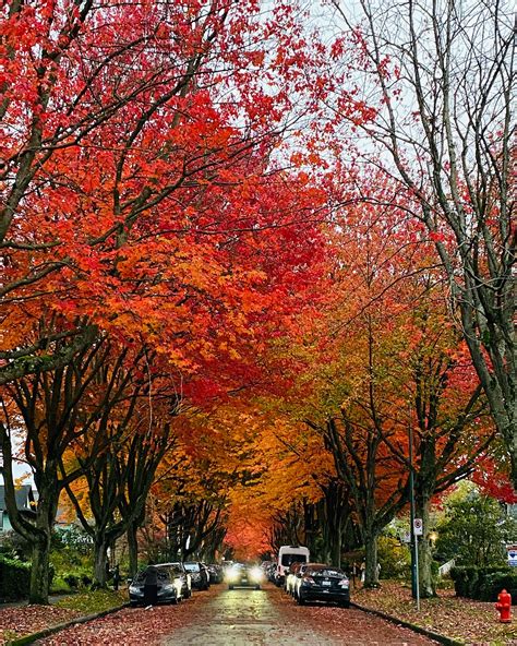 Remembering the Life and Legacy of Barbara Cameron 16