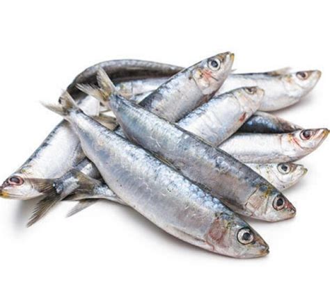 Путассу Фото Рыбы С Головой – Telegraph