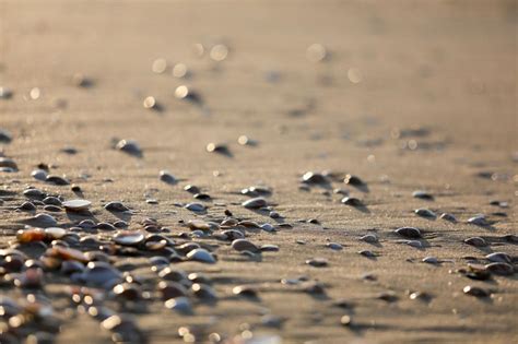 Close Up Of The Sandy Beach Of The Sea With Colorful Shiny Stones In Summer Free Image Download