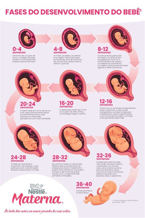 Desenvolvimento Do Bebe Mes A Mes - Desenvolvimento do bebe mes a mes | Fases do bebe, Desenvolvimento ...