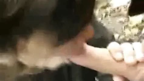 Homosexuell Sex Im Freien Im Wald Sperma Auf Den Arsch XHamster