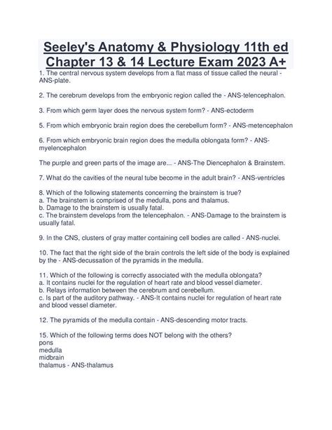 Seeley's Anatomy & Physiology 11th ed Chapter 13 & 14 Lecture Exam 2